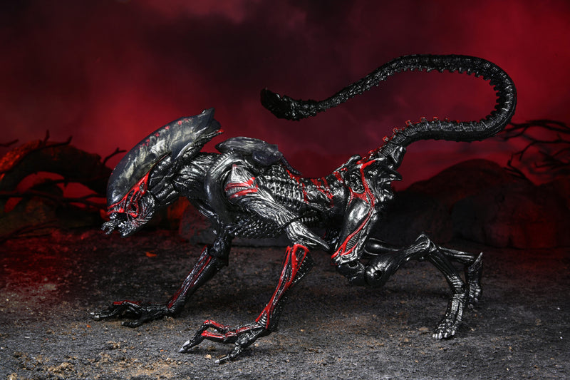 Alien  Night Cougar Kenner Tribute Ultimate (preorder) - Action figure -  Neca