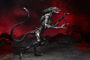 Alien  Night Cougar Kenner Tribute Ultimate (preorder) - Action figure -  Neca
