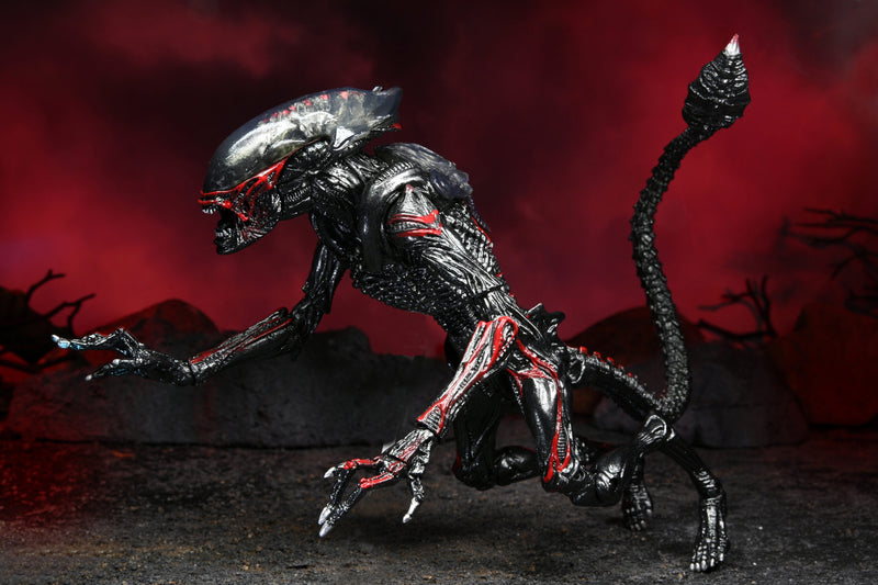 Alien  Night Cougar Kenner Tribute Ultimate (preorder) - Action figure -  Neca
