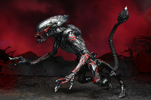 Alien  Night Cougar Kenner Tribute Ultimate (preorder) - Action figure -  Neca