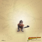 Indiana Jones Adventure Series Indiana Jones - Cairo - exclusive (preorder) - Collectables > Action Figures > toys -  Hasbro