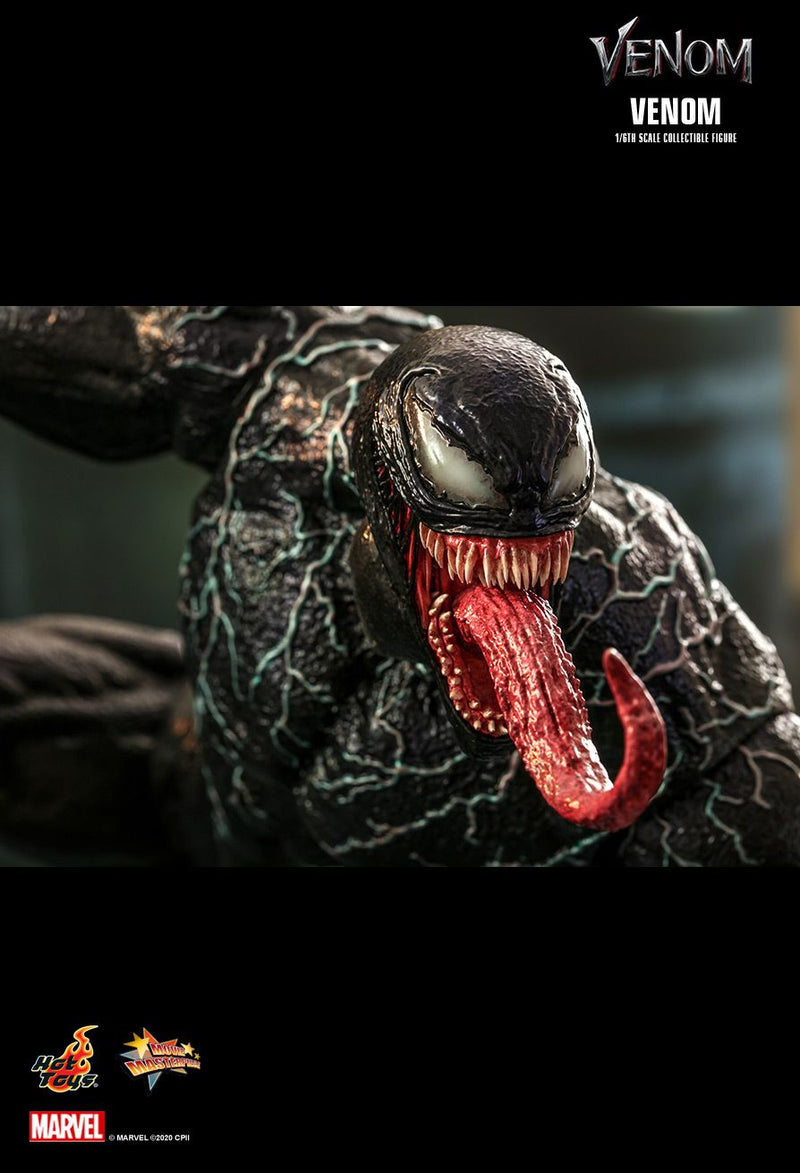 Venom - Venom - Special Edition - Action figure -  Hot Toys