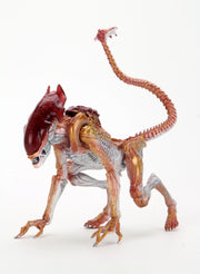 Panther Aliens Kenner Tribute Neca (preorder) - Action figure -  Neca