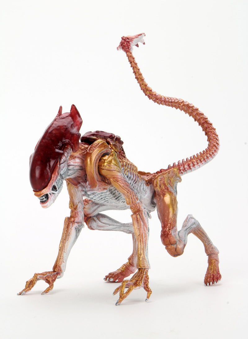 Panther Aliens Kenner Tribute Neca (preorder) - Action figure -  Neca