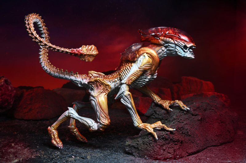 Panther Aliens Kenner Tribute Neca (preorder) - Action figure -  Neca