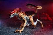 Panther Aliens Kenner Tribute Neca (preorder) - Action figure -  Neca