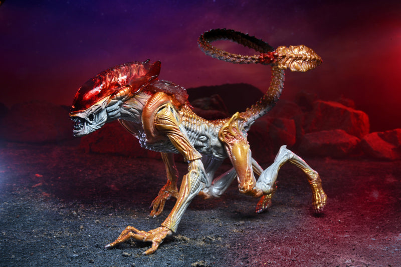 Panther Aliens Kenner Tribute Neca (preorder) - Action figure -  Neca