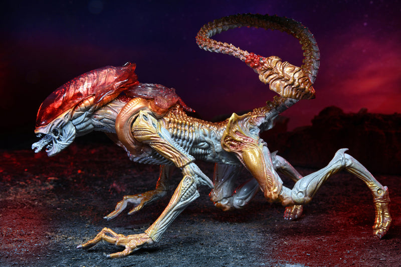 Panther Aliens Kenner Tribute Neca (preorder) - Action figure -  Neca