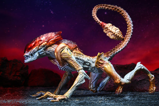 Panther Aliens Kenner Tribute Neca (preorder) - Action figure -  Neca