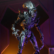 Aliens Ultimate Rhino Alien Figure ( blue/silver) - Action & Toy Figures -  Neca