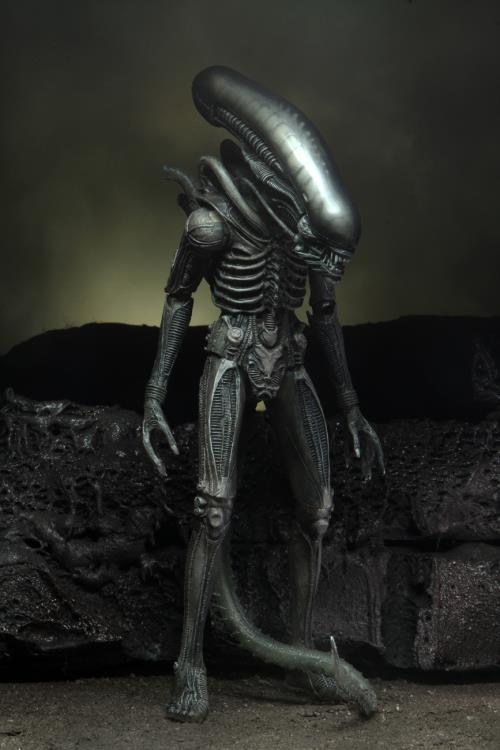 Neca Alien 40th Anniversary Giger's Alien - Action & Toy Figures -  Neca