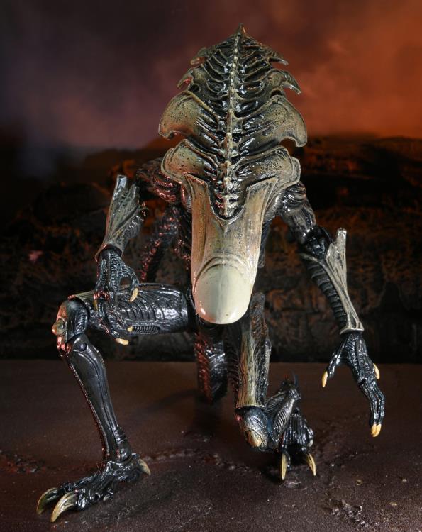 Alien vs. Predator Chrysalis (Movie Deco) Figure (preorder) - Action & Toy Figures -  neca