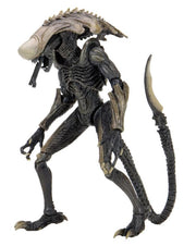 Alien vs. Predator Chrysalis (Movie Deco) Figure (preorder) - Action & Toy Figures -  neca