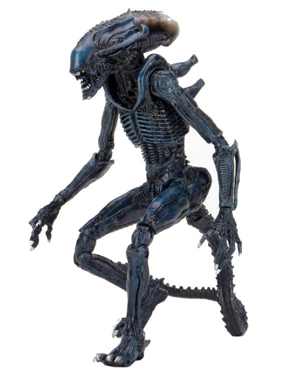 Alien vs. Predator Aliens Set of 3 Figures Movie Deco  (Preorder) - Action figure -  Neca