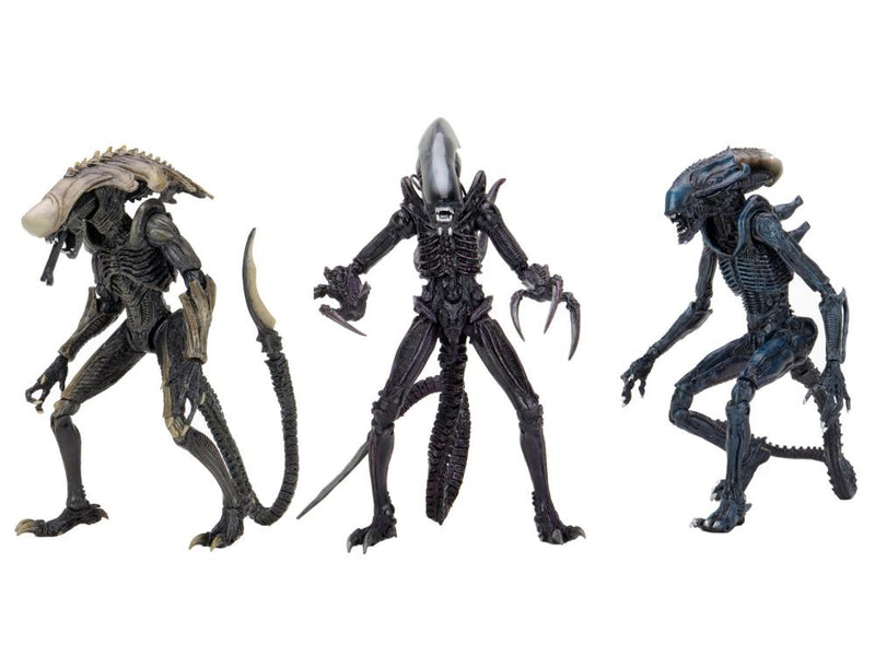 Alien vs. Predator Aliens Set of 3 Figures Movie Deco  (Preorder) - Action figure -  Neca